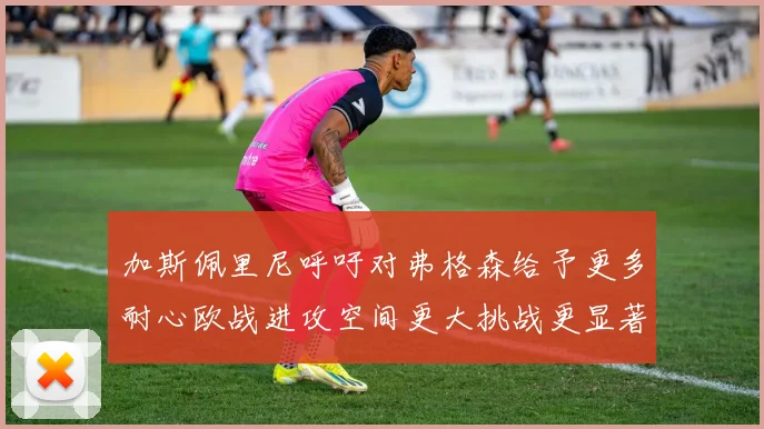 加斯佩里尼呼吁对弗格森给予更多耐心欧战进攻空间更大挑战更显著