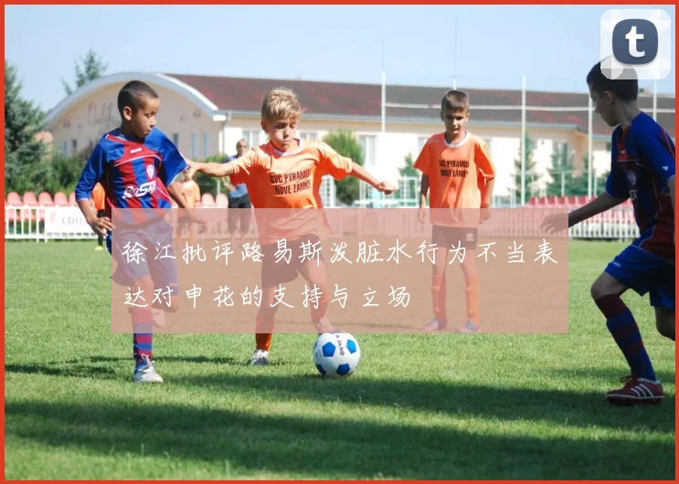 徐江批评路易斯泼脏水行为不当表达对申花的支持与立场