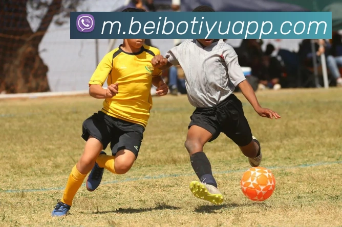 数据防护可视化